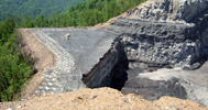 Coal